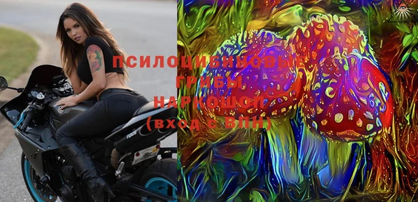 гашик Михайловка