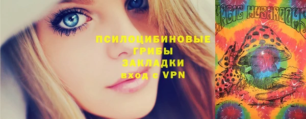гашик Михайловка